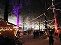 DSCF5687